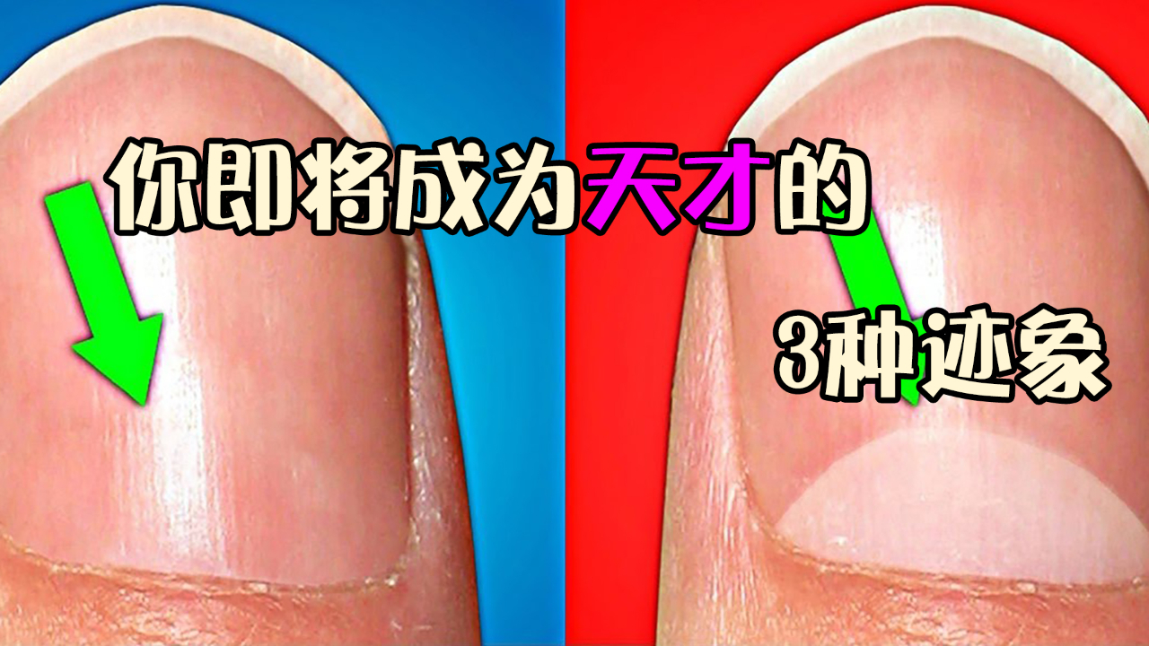 成为天才前身上需要具有哪些气质呢?